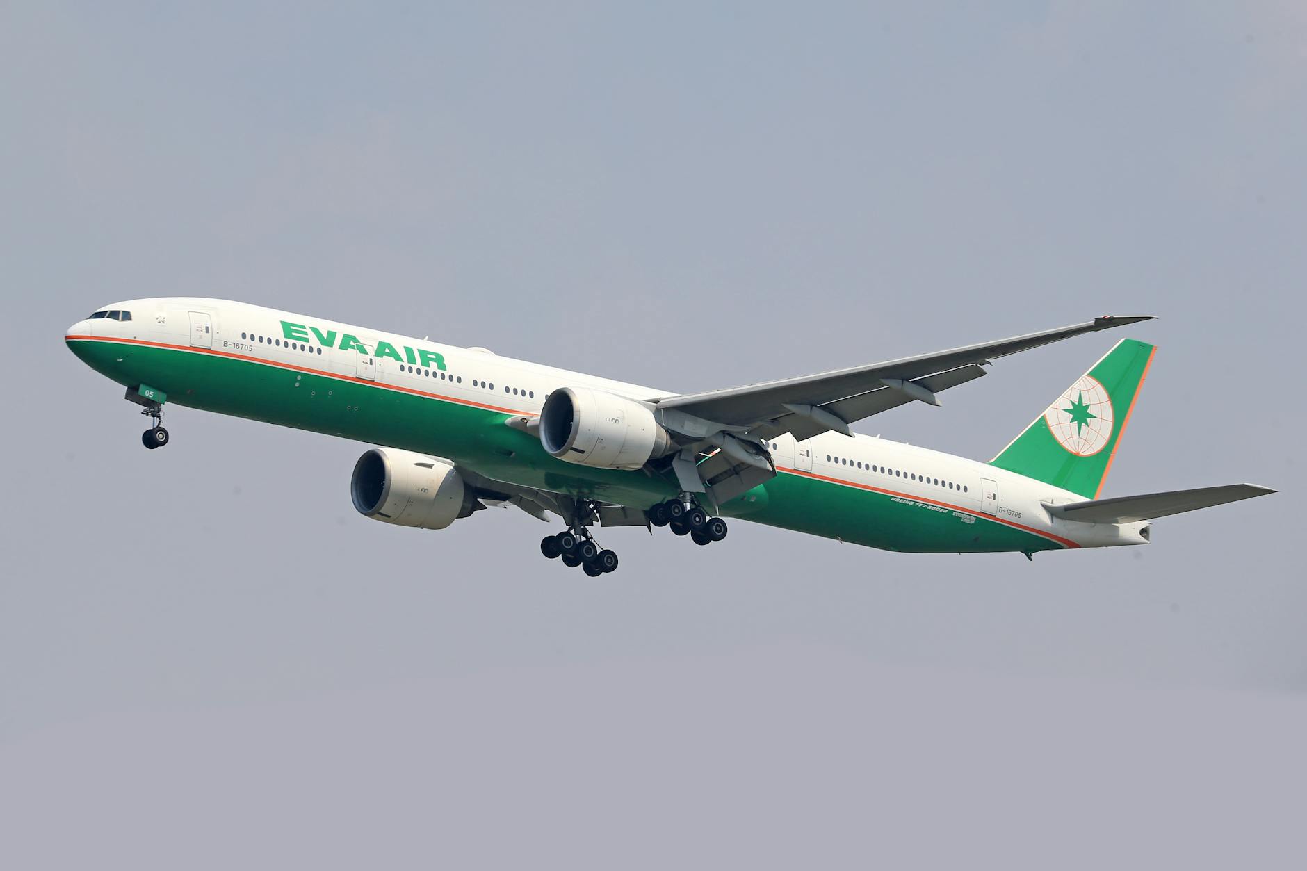 Illustration zu Eva Mattes