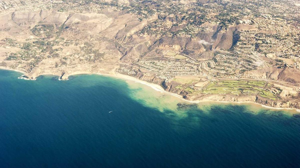 Formel 1 Japan /code Symbolbild zum Thema Formel 1 Japan /code