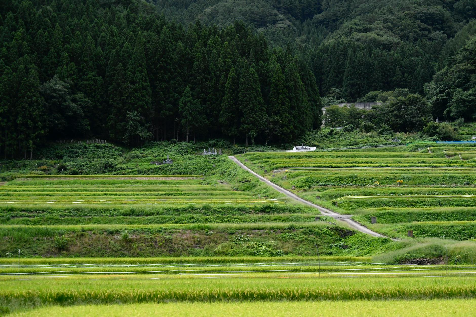 Detailansicht: Fukushima Atomkraftwerk