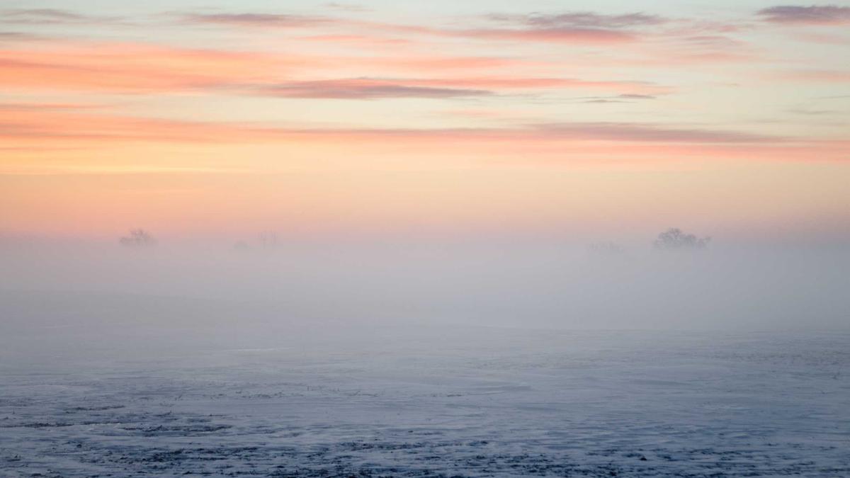 Geschirrspülmittel Illustration zu Geschirrspülmittel