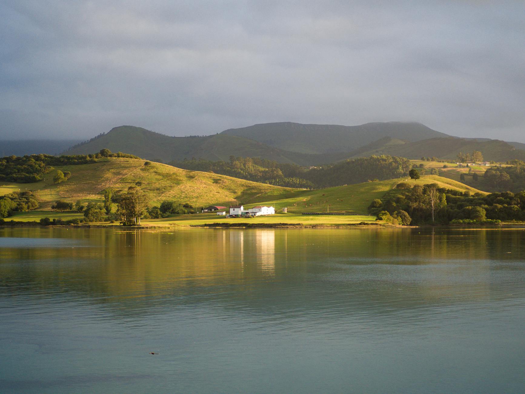 Illustration zu Gil Vicente - Benfica