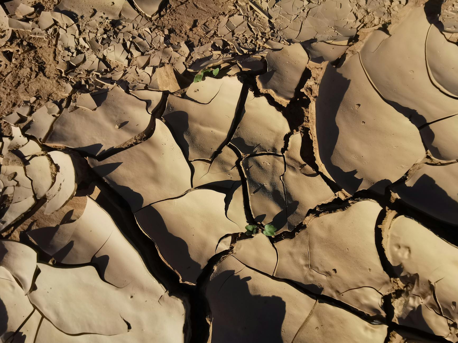 Illustration zu GZSZ Sunny Comeback