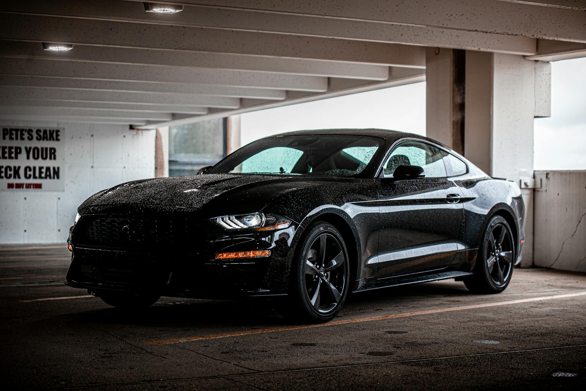 Illustration zu Harrison Ford Schlafzimmer