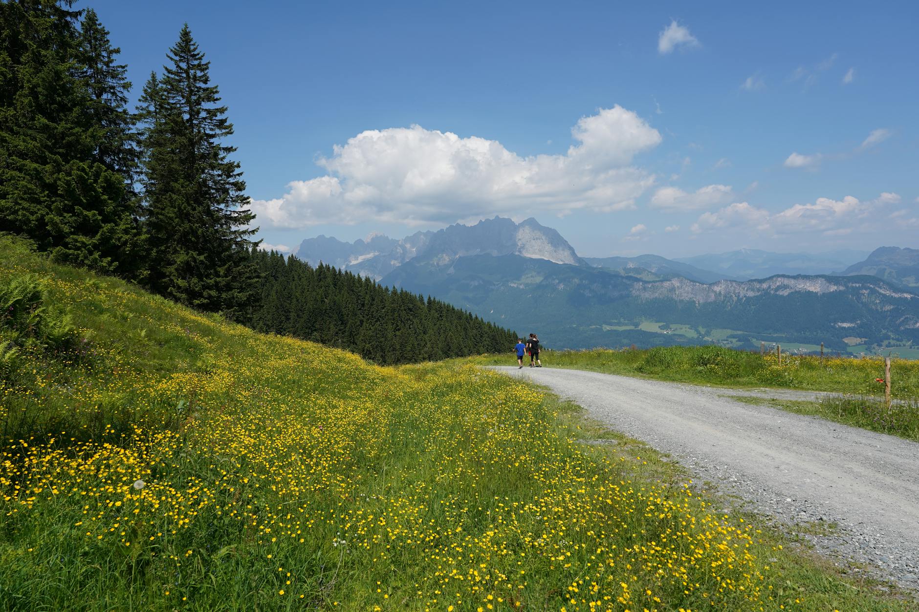 Detailansicht: Johann Wadephul