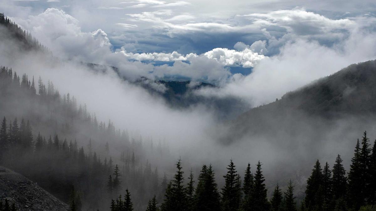 Illustration zu Kira Weidle-winkelmann