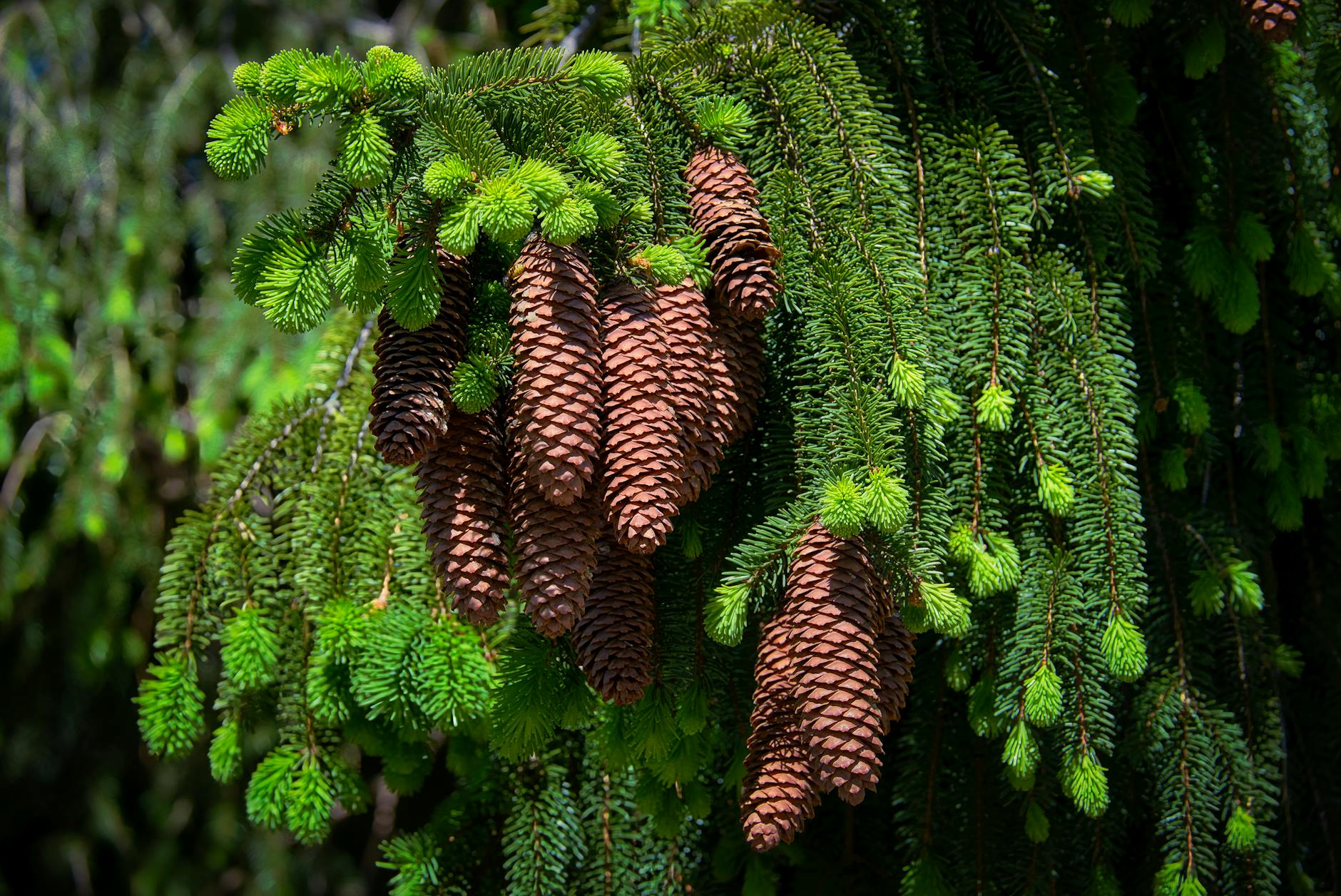 Symbolbild zum Thema Landtagswahl Baden Württemberg