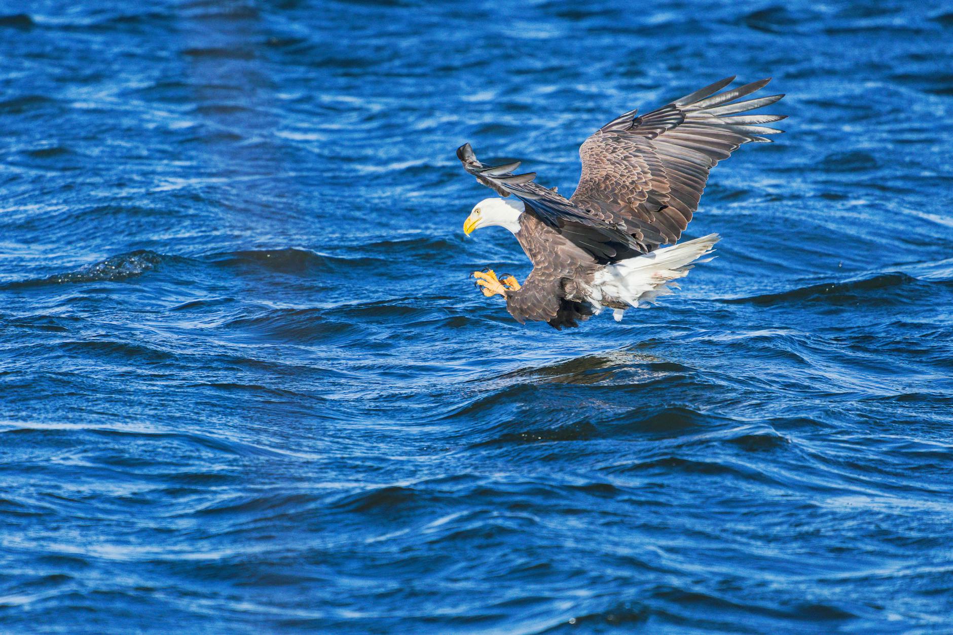 Illustration zu Liverpool VS Galatasaray
