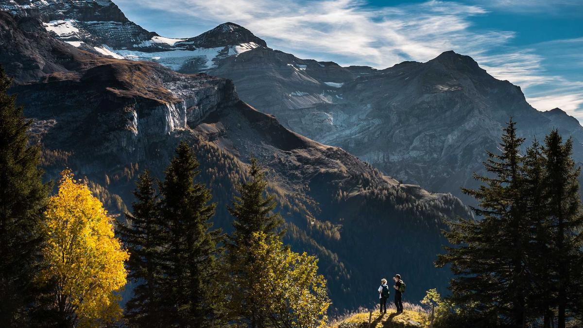 Illustration zu Loredana Wollnys