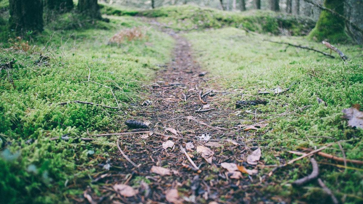 Detailansicht: Lottozahlen Ziehung
