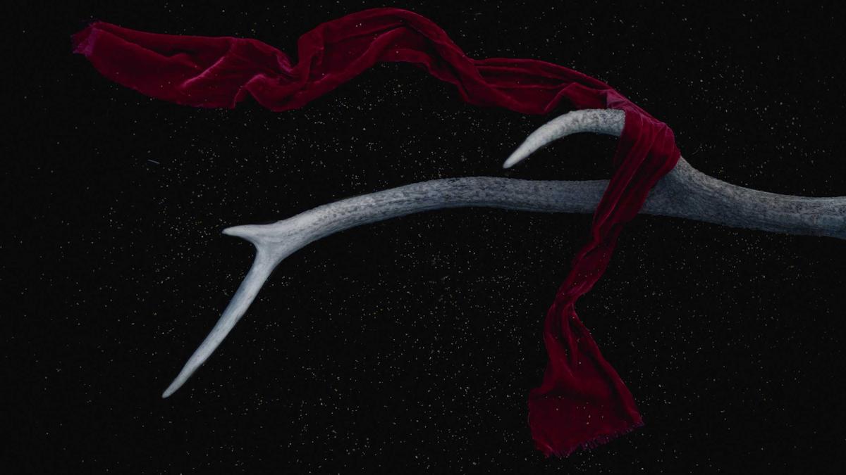 Maischberger Gestern Illustration zu Maischberger Gestern