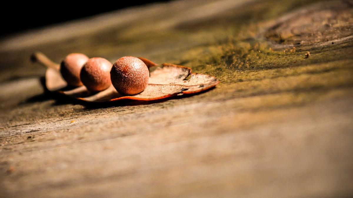 Symbolbild zum Thema Michailo Fedorow