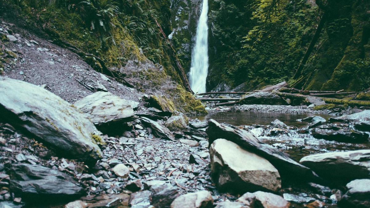 Illustration zu Moto GP