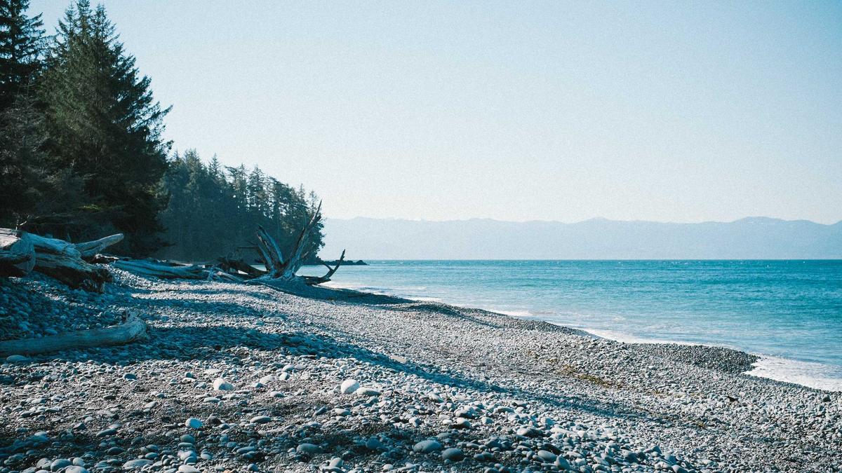 Detailansicht: Neandertaler