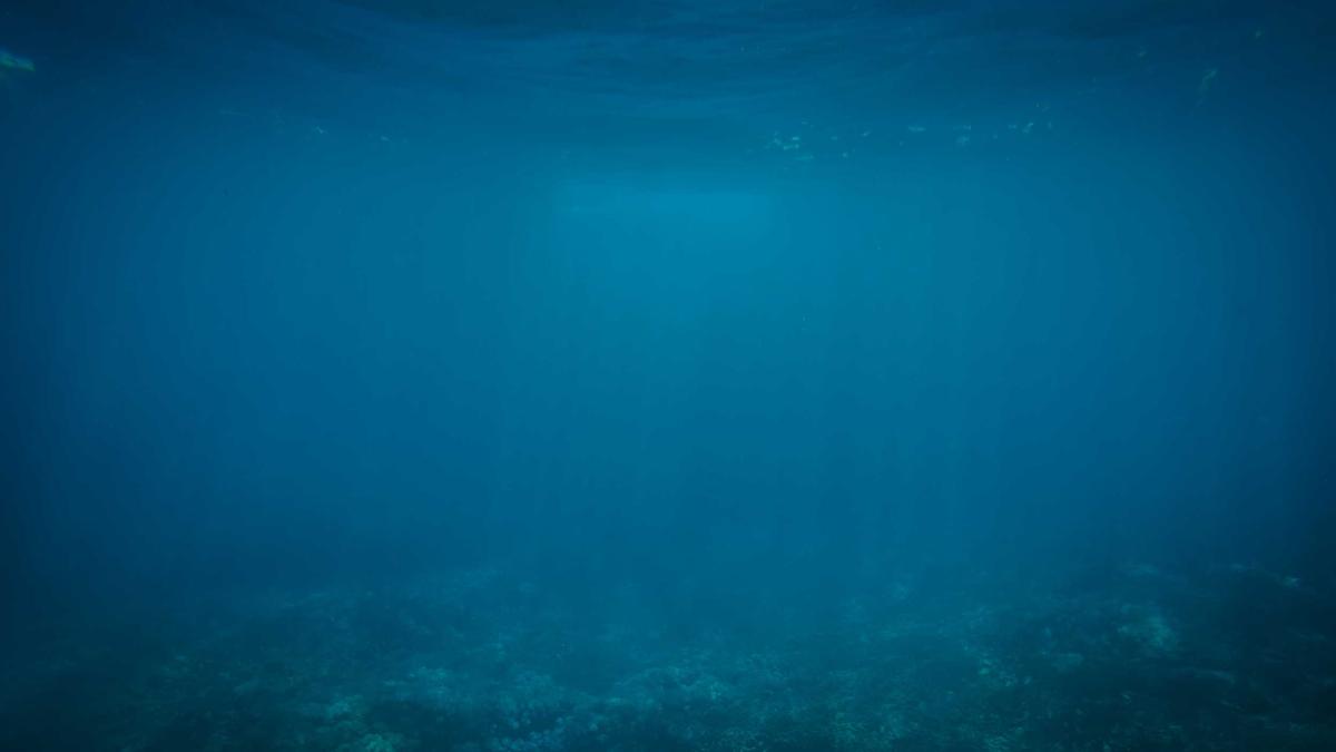 Nestle Kitkat Detailansicht: Nestle Kitkat