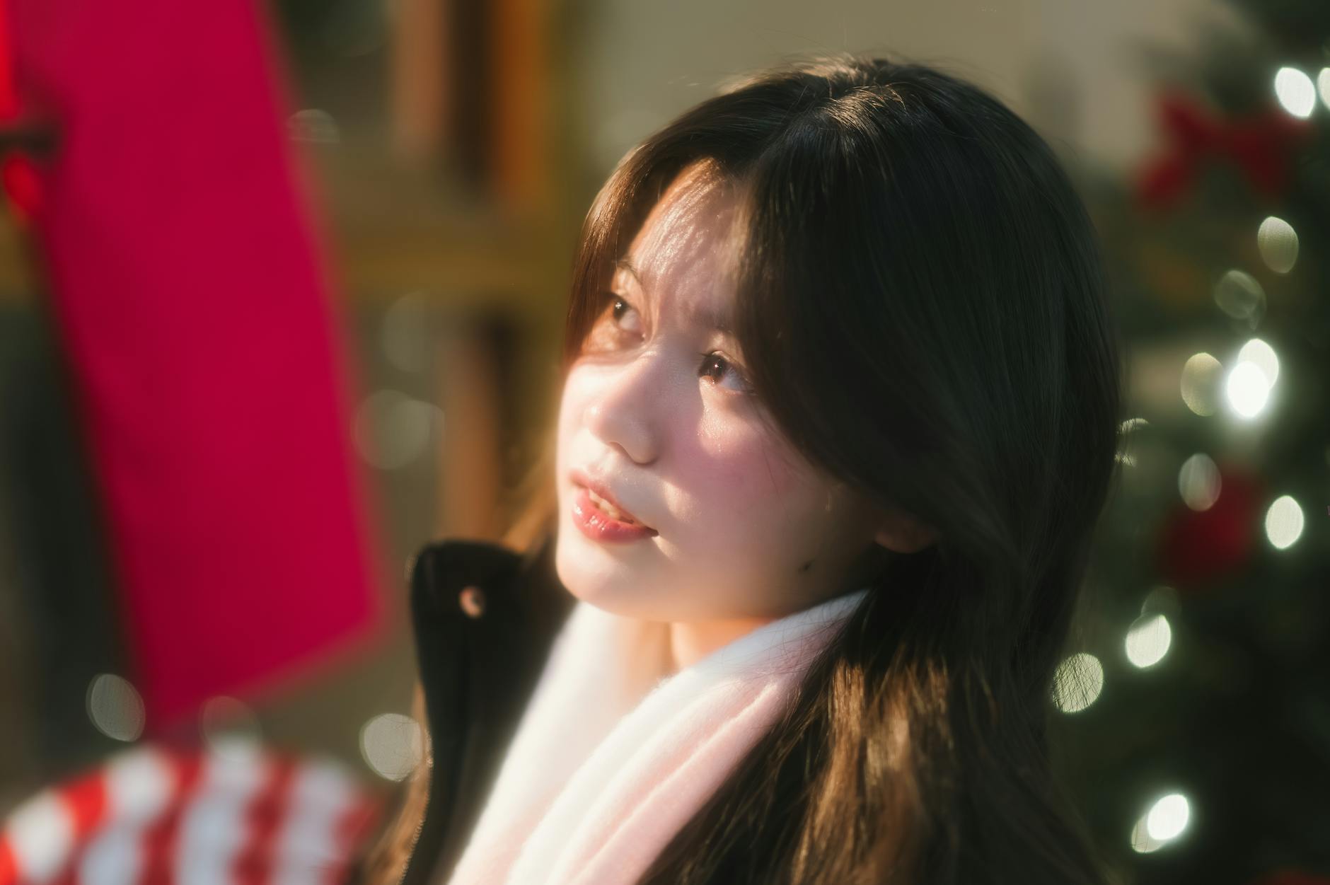 Illustration zu Noa Lang