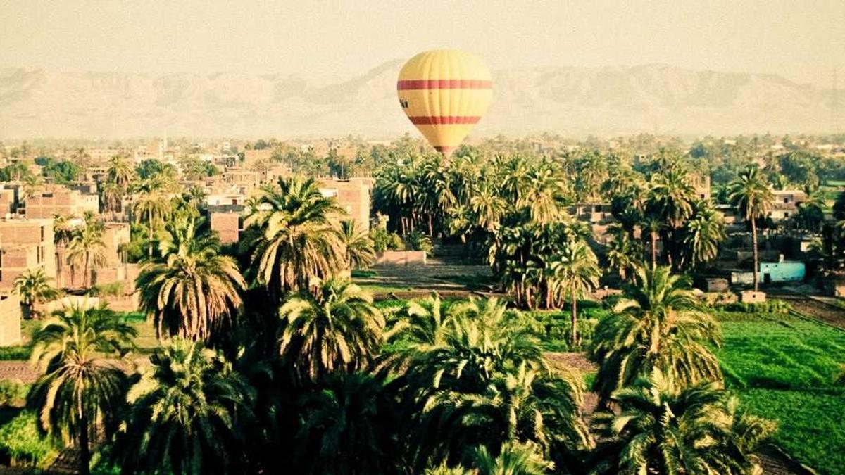 Illustration zu Nübel