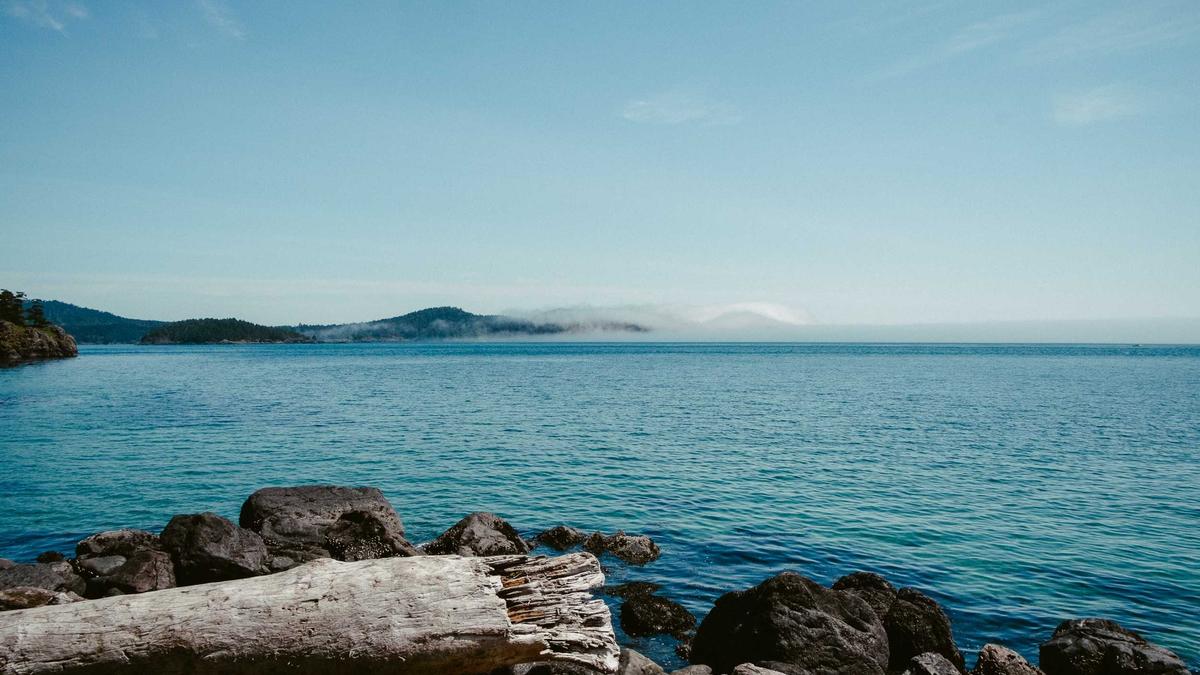 Detailansicht: Openai Sora