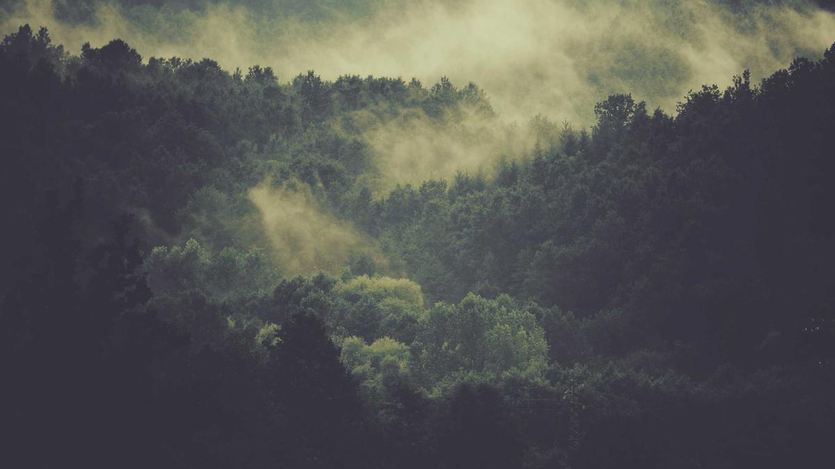 Symbolbild zum Thema Ostsee Buckelwale