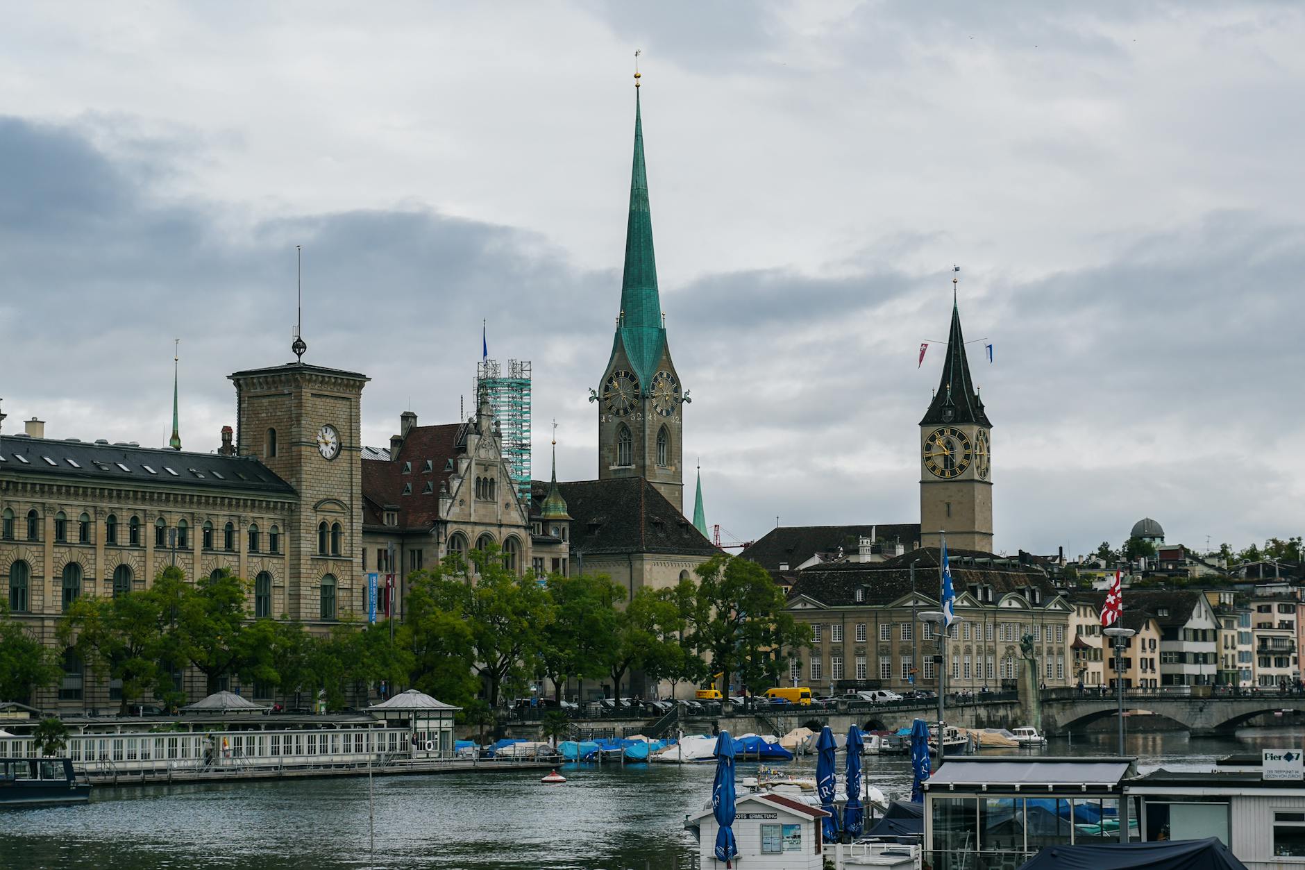 Detailansicht: Pitbull Zürich