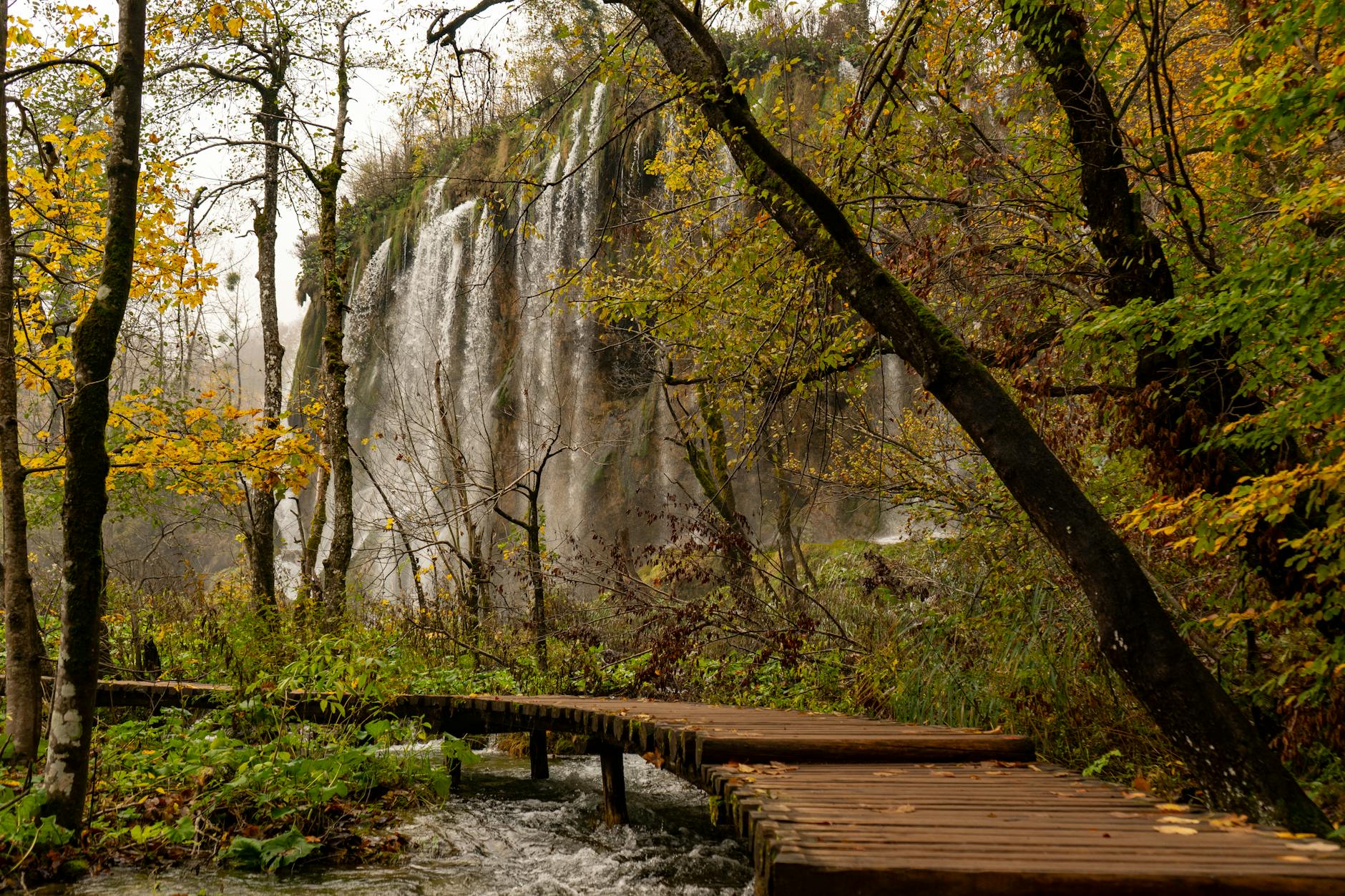 Illustration zu Reisewarnung Kroatien Serbien