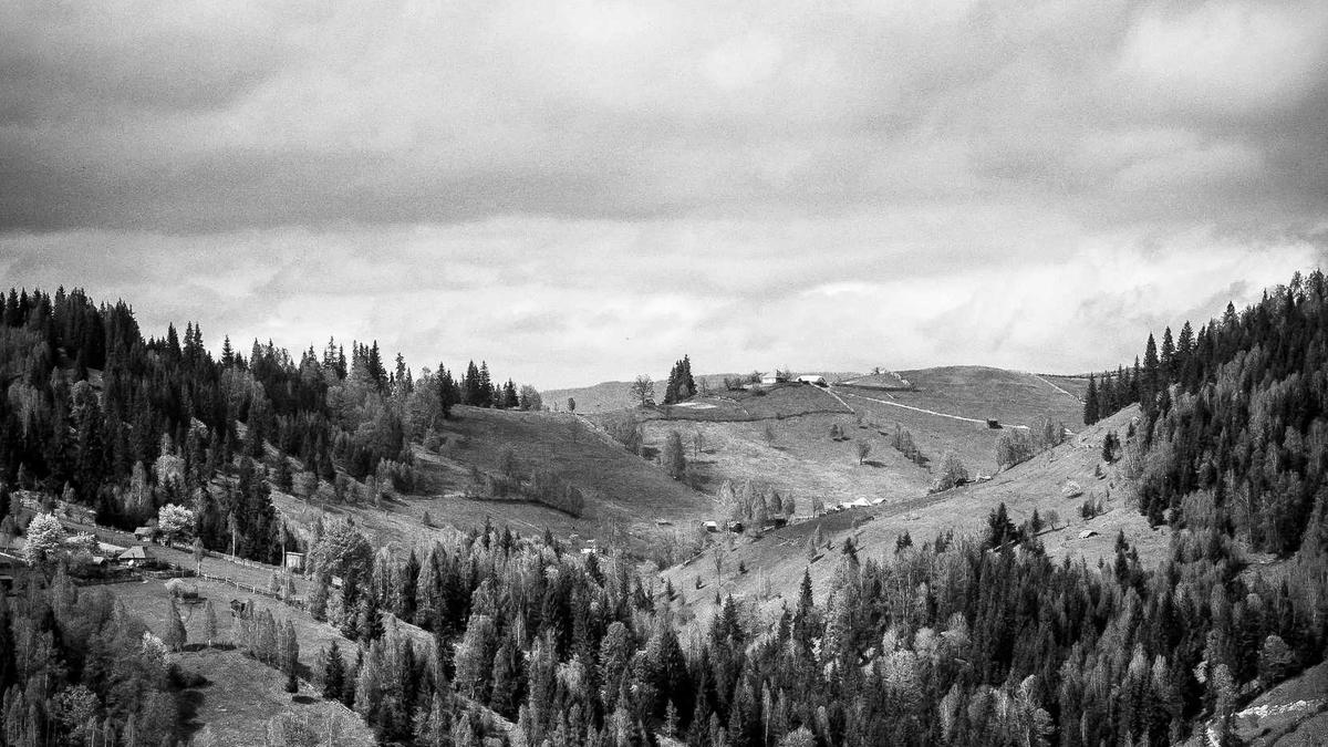 Rheinmetall Aktienkurs Illustration zu Rheinmetall Aktienkurs