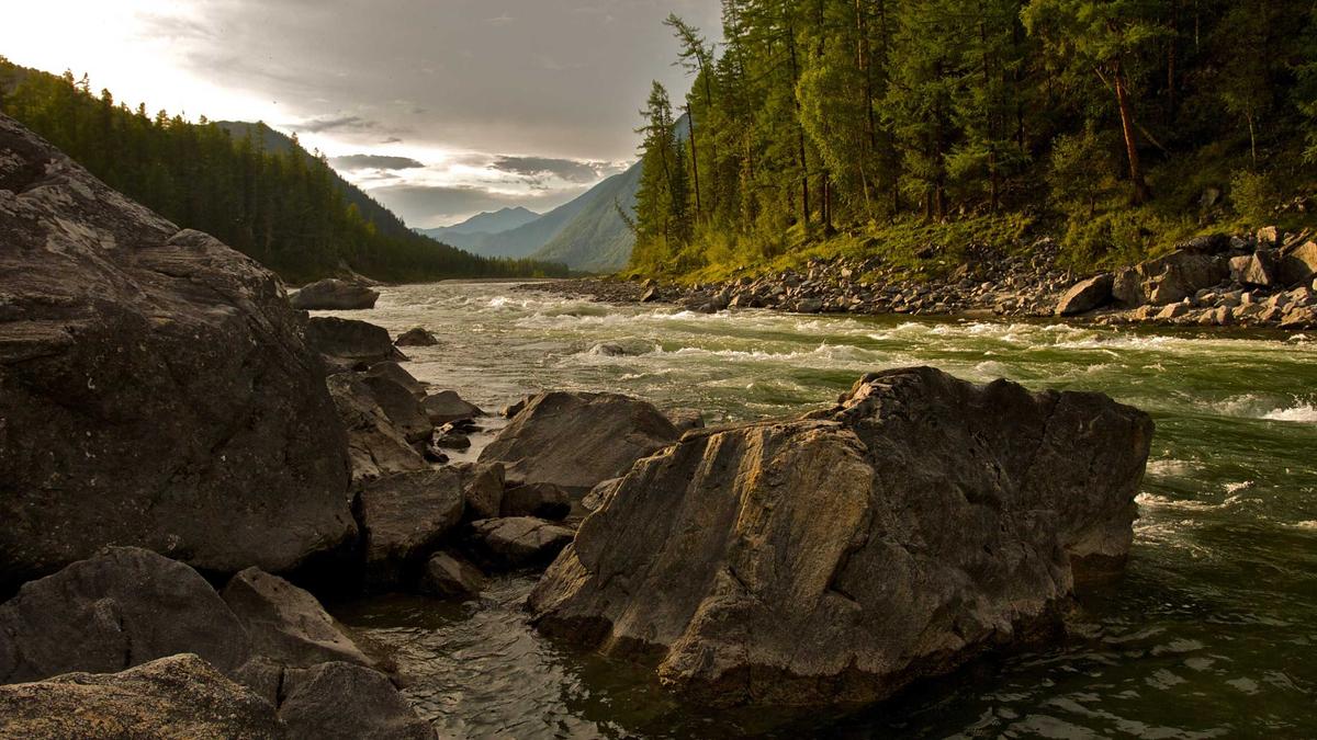 Robert Mueller Gestorben Symbolbild zum Thema Robert Mueller Gestorben