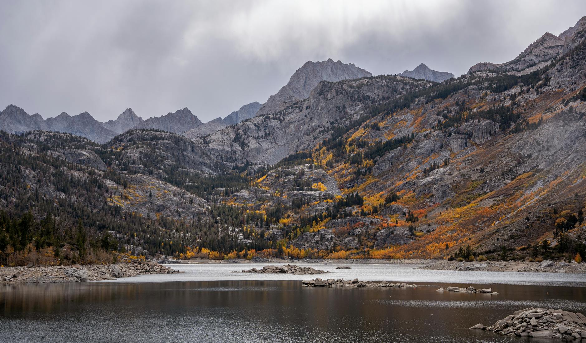 Detailansicht: Sabrina Amali
