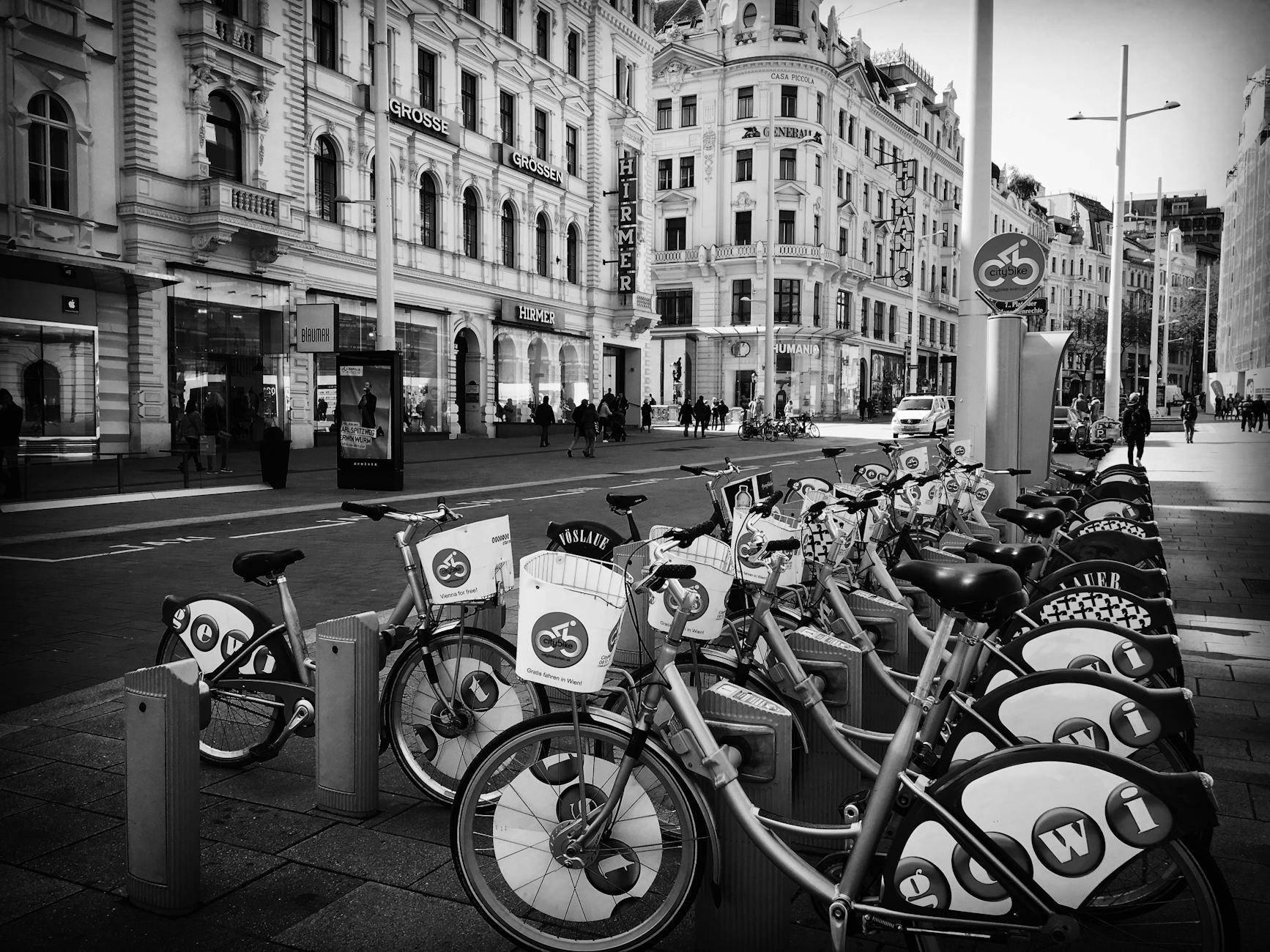 Detailansicht: SCR Altach – Rapid Wien