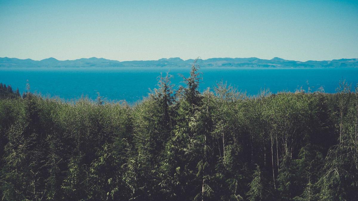 Detailansicht: Spritpreise Erhöhung