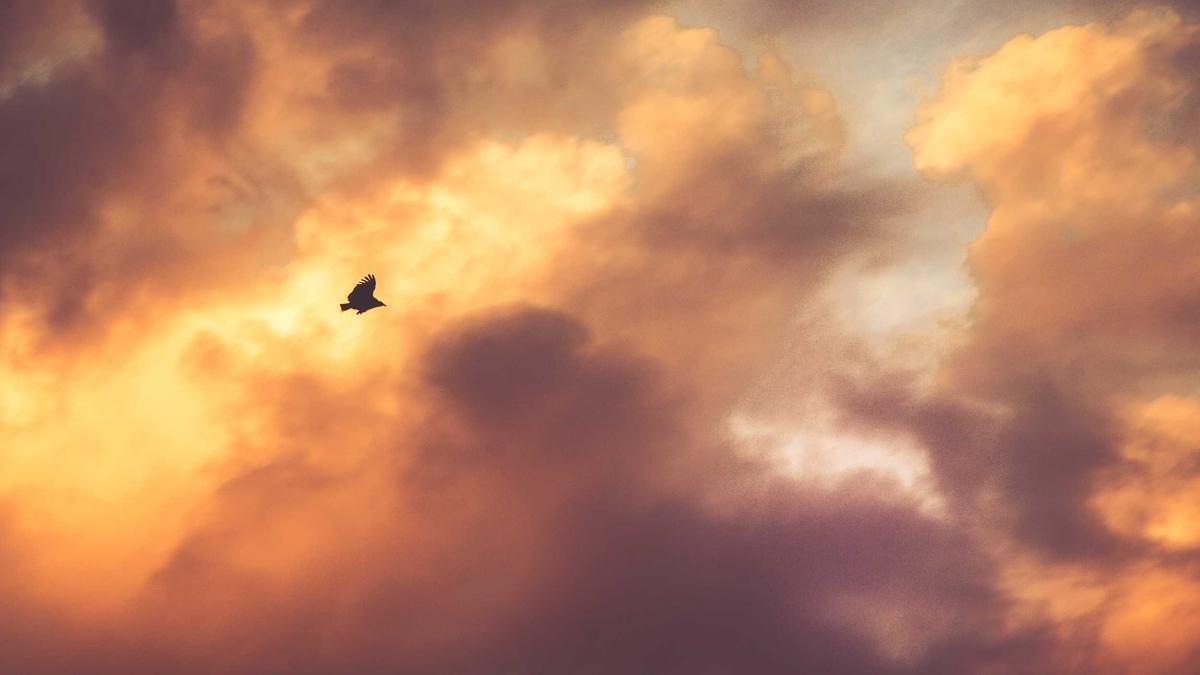 Detailansicht: Streittypen Psychologie