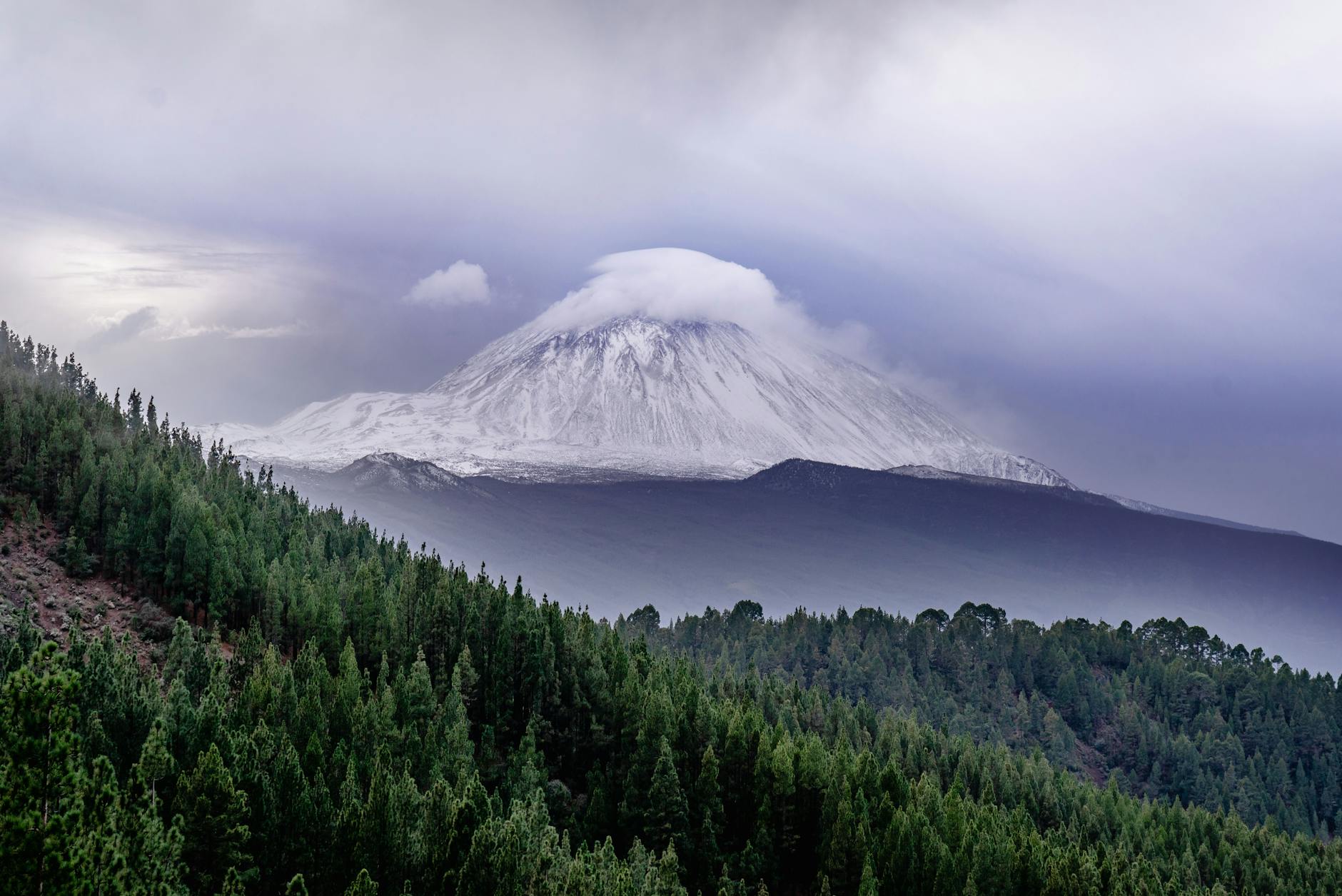 Detailansicht: Teneriffa Teide Vulkanausbruch