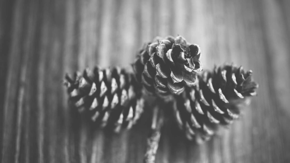 Detailansicht: Tina Weirather Baby