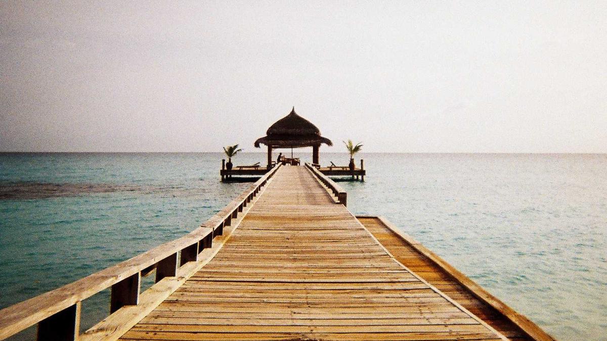 Tractive Illustration zu Tractive