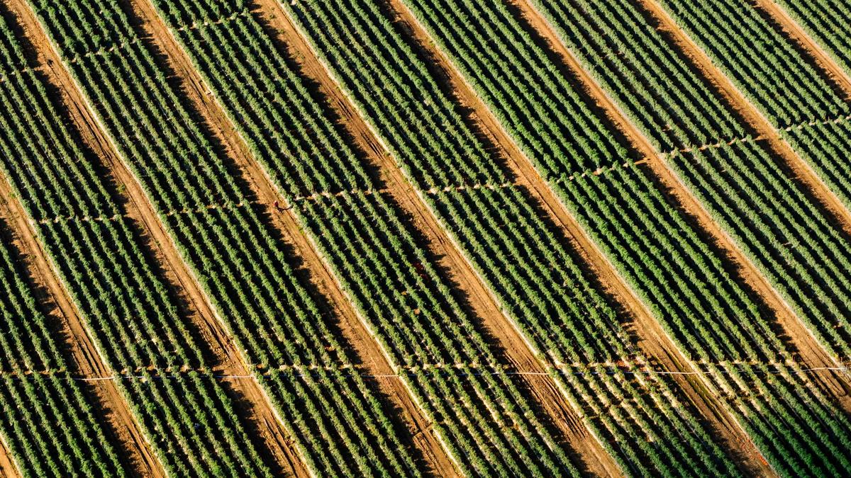 Tractive Symbolbild zum Thema Tractive