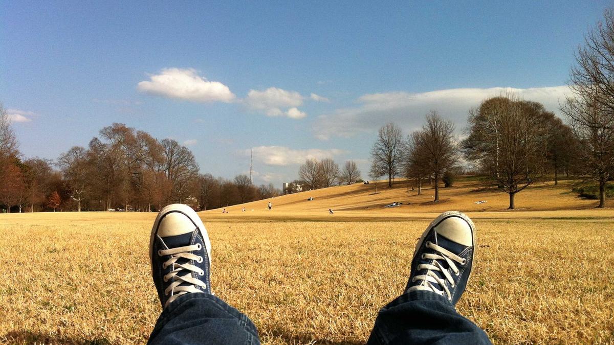 Illustration zu Trump News