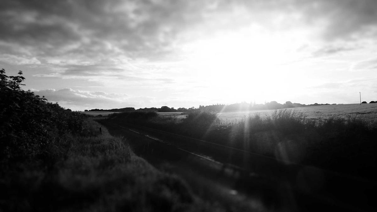 Trump Umfragewerte Symbolbild zum Thema Trump Umfragewerte