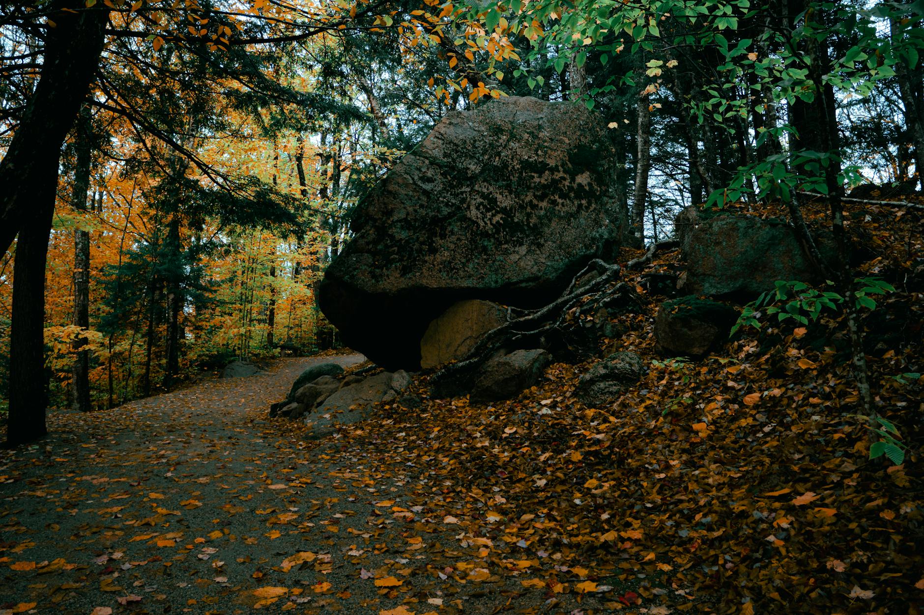 Symbolbild zum Thema Uss Abraham Lincoln