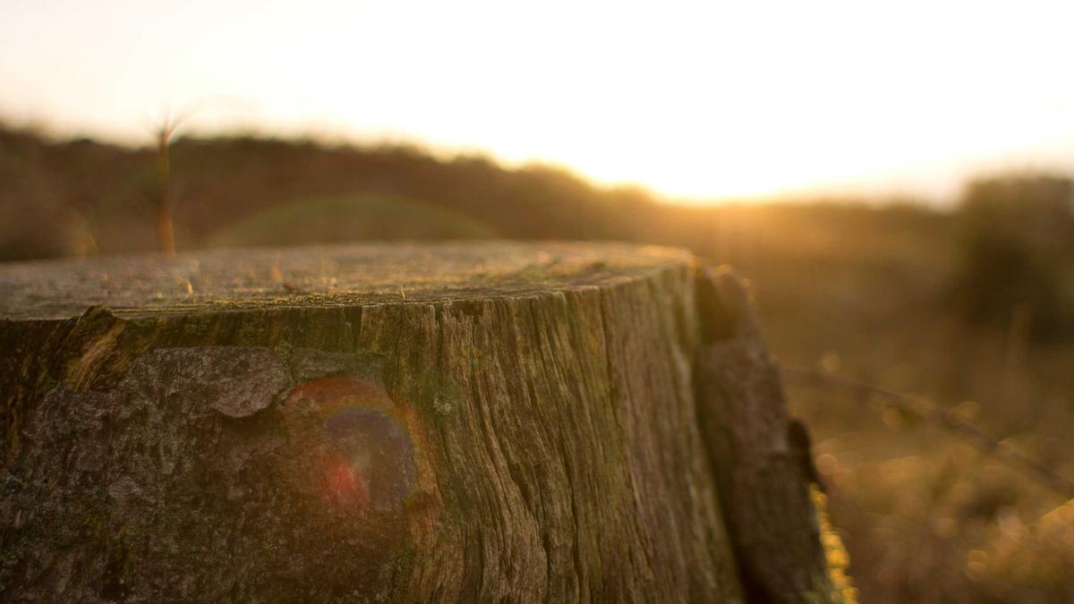Symbolbild zum Thema Wäsche Waschen Ostern