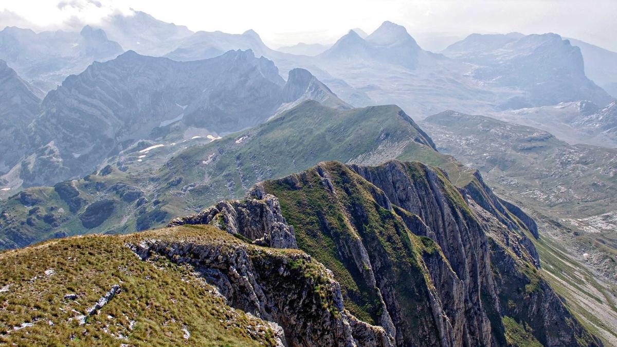 Illustration zu Wal Gestrandet Ostsee