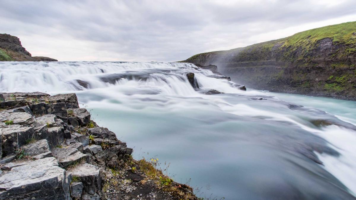 Wales Bosnien Detailansicht: Wales Bosnien