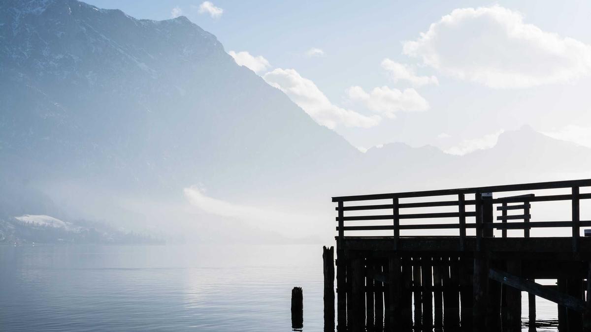 Detailansicht: Windows 11 Update