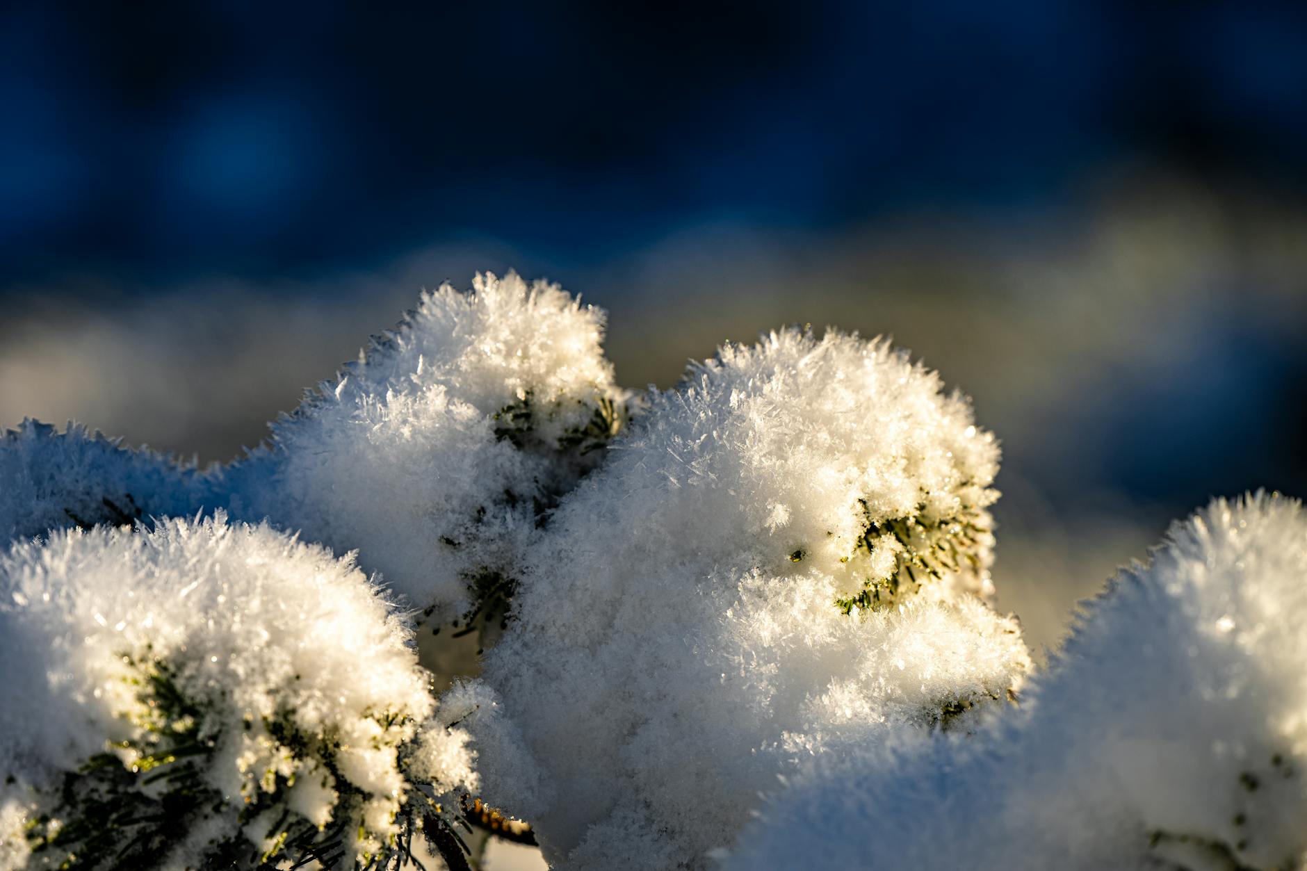 Illustration zu Wintersport Heute