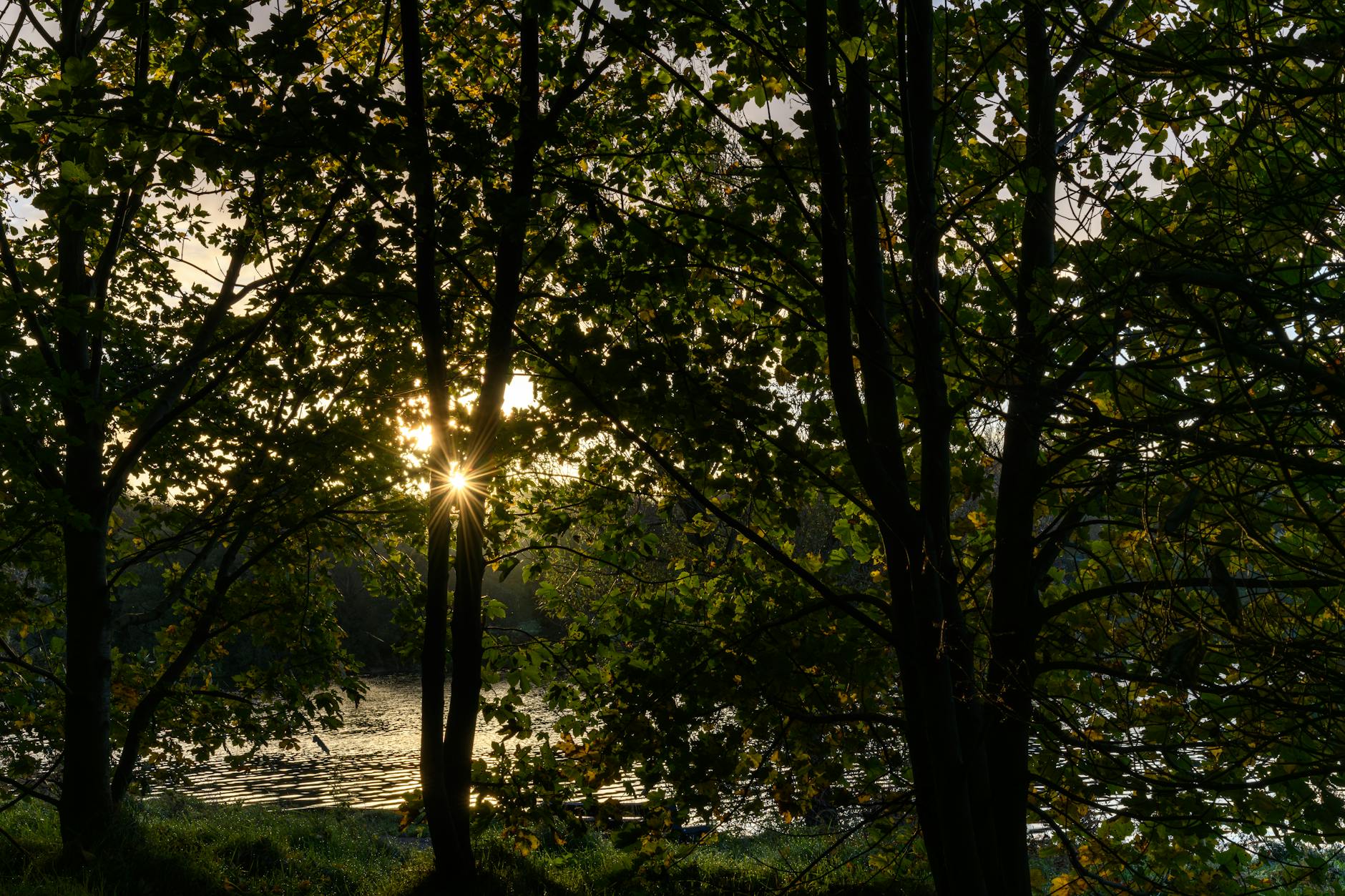 Detailansicht: ARD Programmänderung