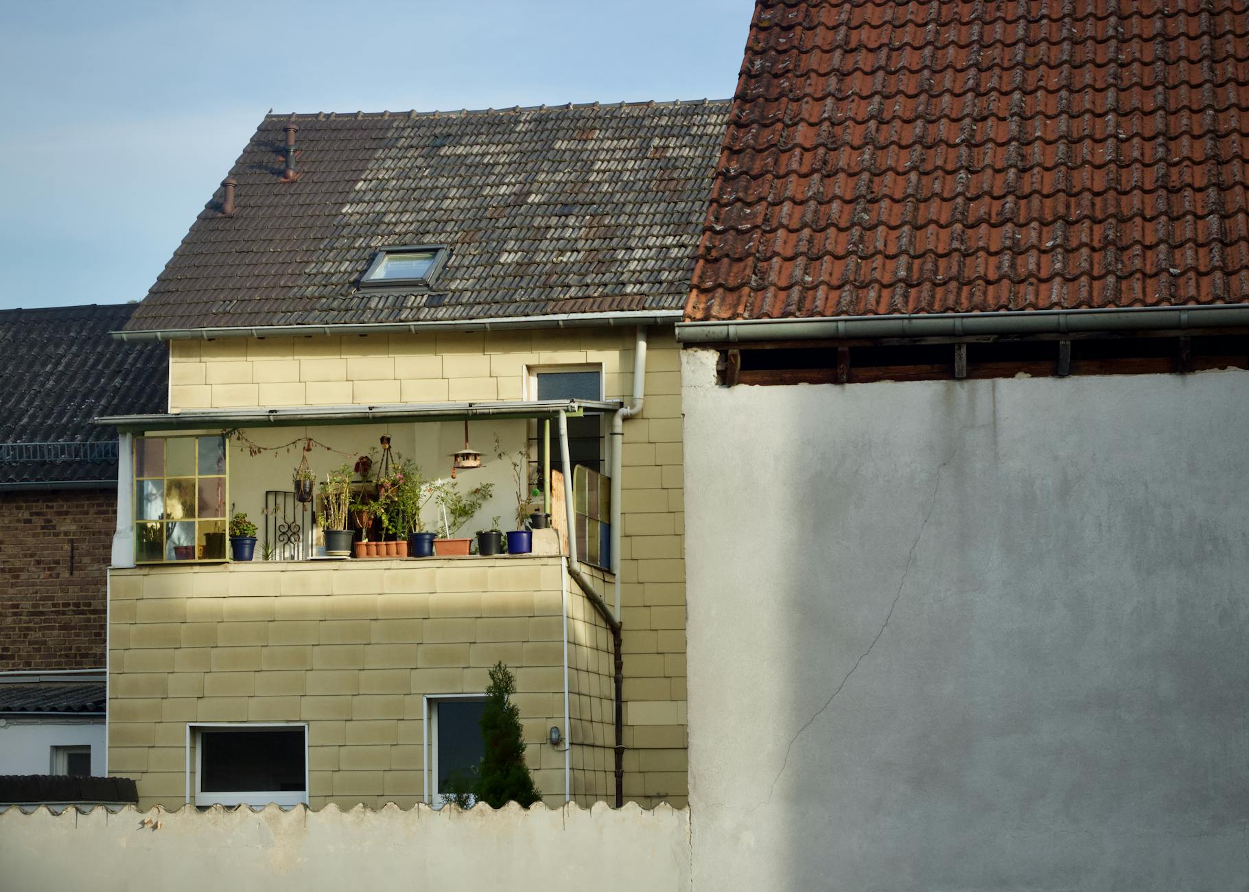 Illustration zu Balkon Baum Pflanzen