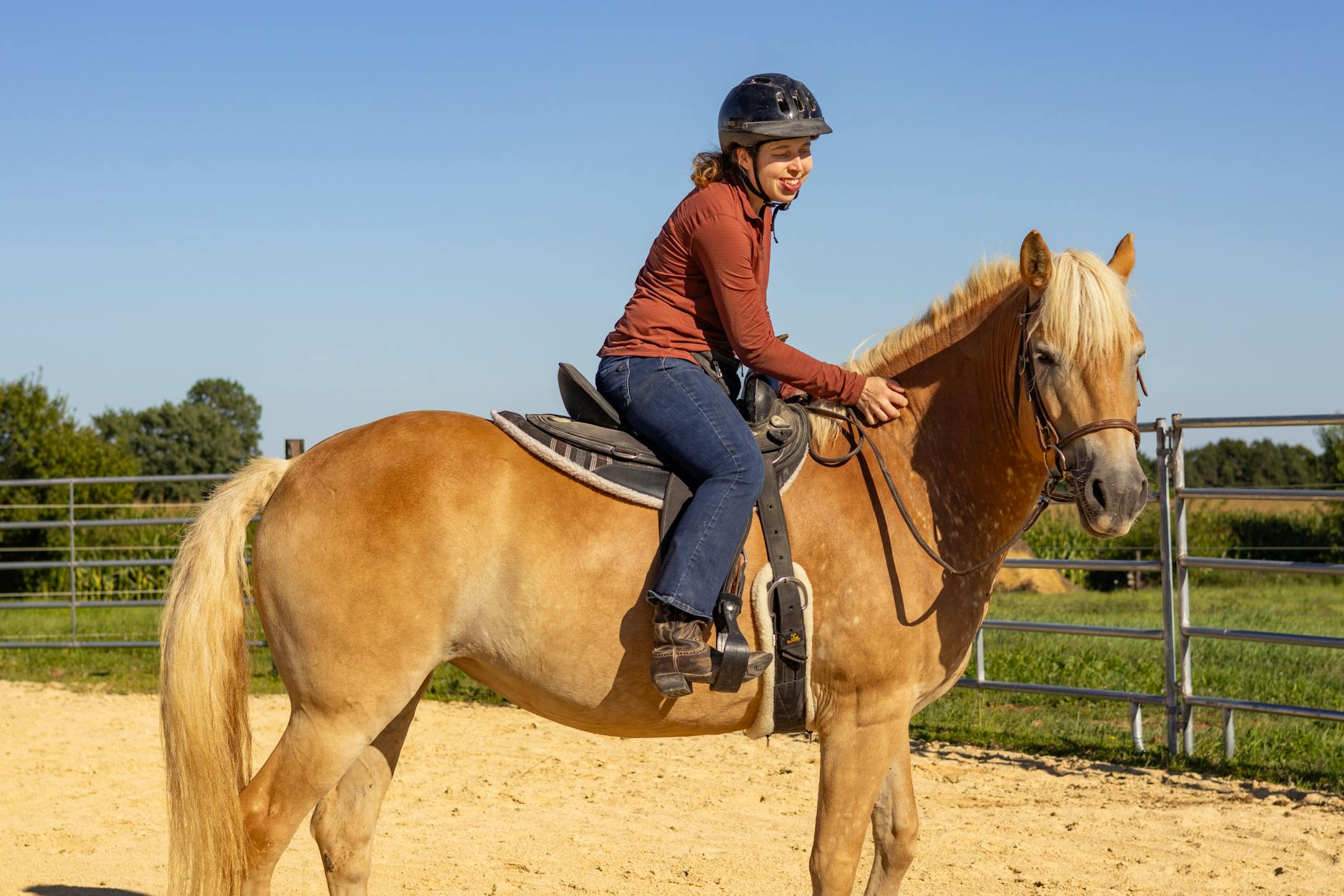 Symbolbild zum Thema Bauer Sucht Frau Was Ist Auf Den Hoefen Los
