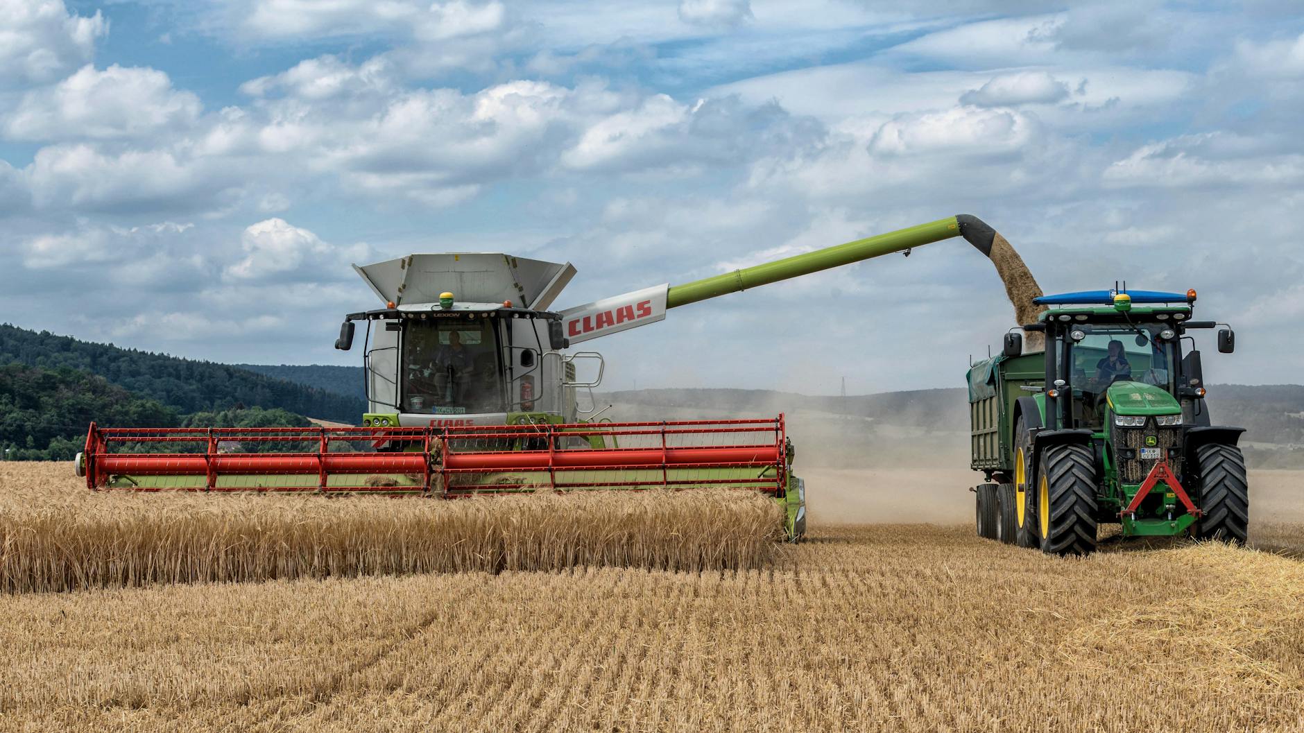 Detailansicht: Bauernregel Georgi