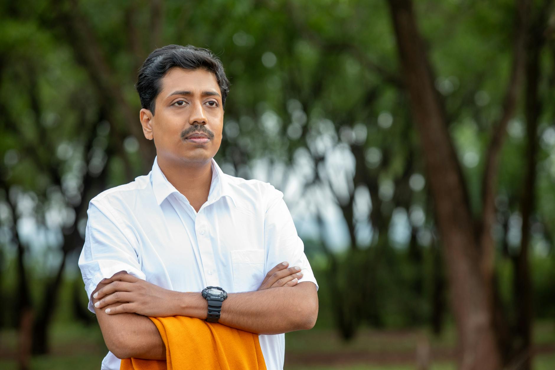 Belugawal Symbolbild zum Thema Belugawal