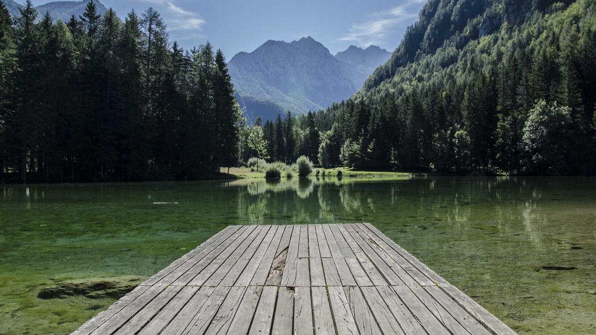 Detailansicht: Betrug