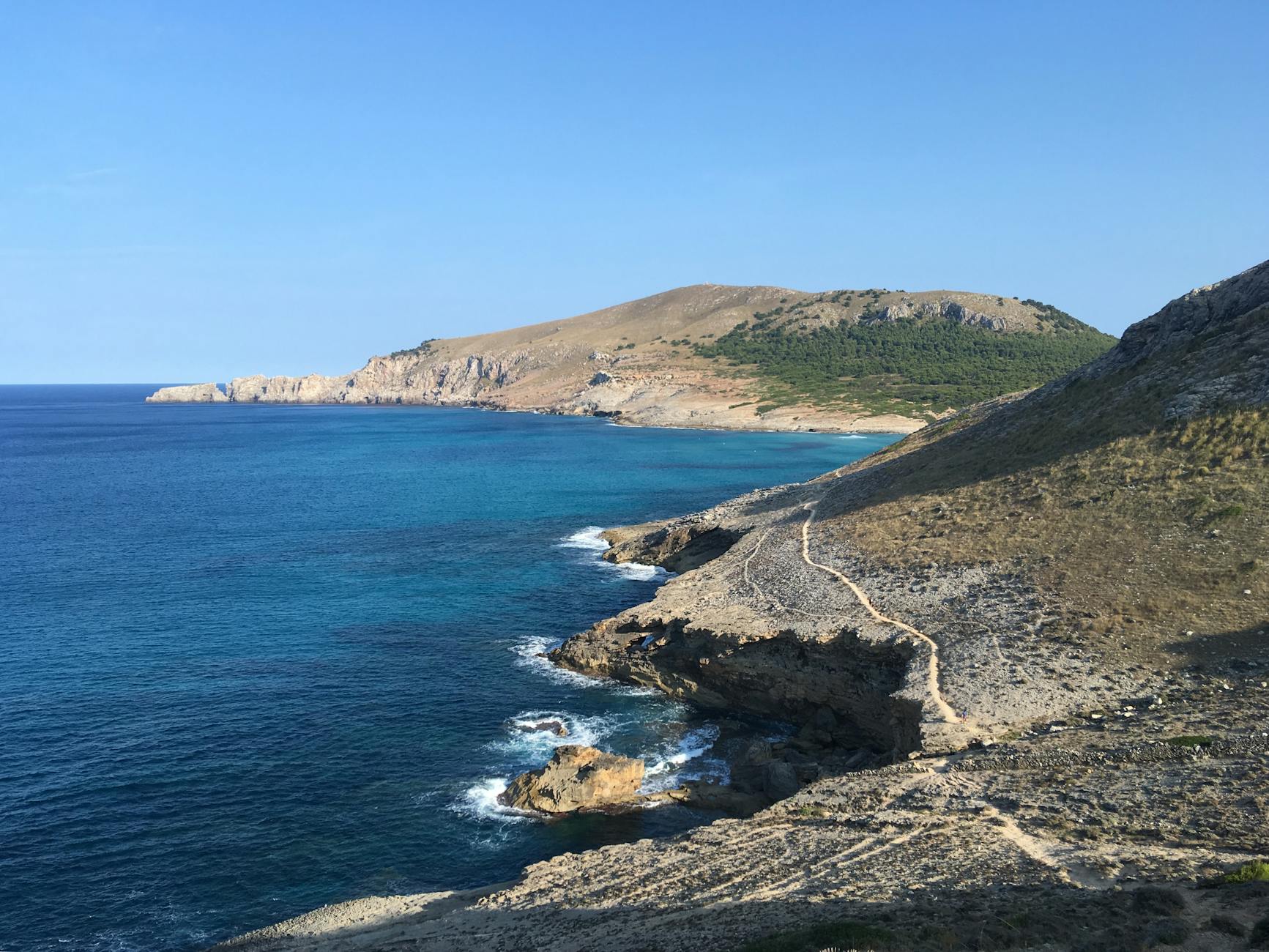Bierkoenig Mallorca Illustration zu Bierkoenig Mallorca