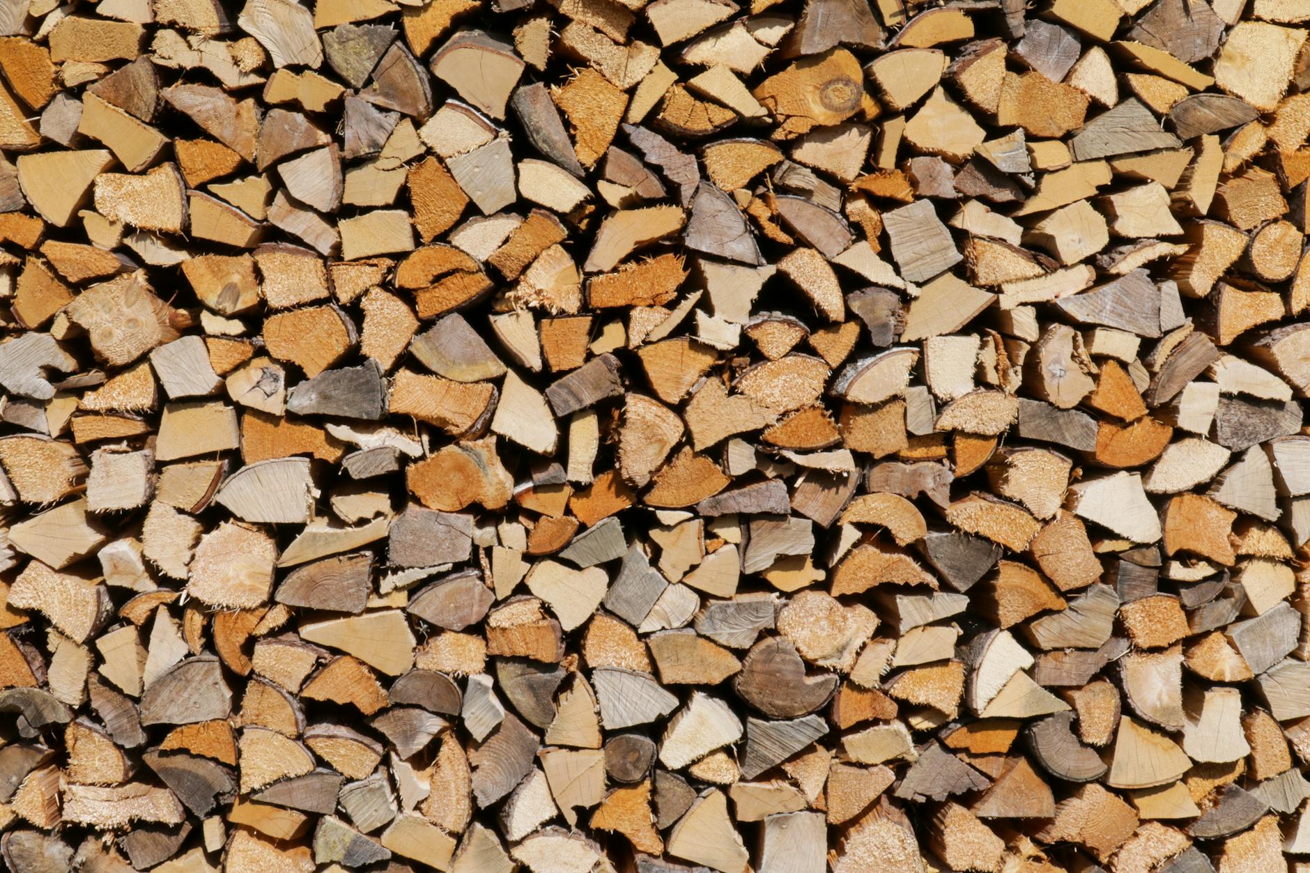 Illustration zu Brennholz